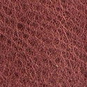 Protos